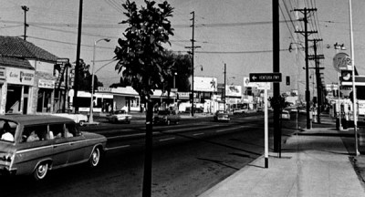 HLP_03_Primary_White_Flight